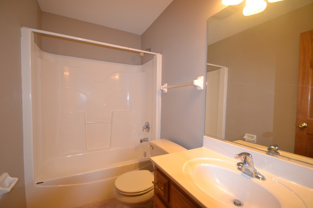 424 Blue Ridge Drive Oswego, IL 60543 - Photo 19 of 25