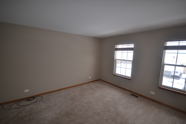 424 Blue Ridge Drive Oswego, IL 60543 - Photo 20 of 25