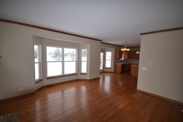 424 Blue Ridge Drive Oswego, IL 60543 - Photo 3 of 25