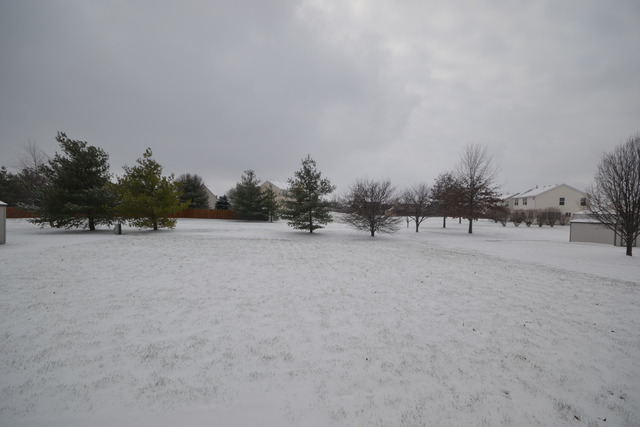 424 Blue Ridge Drive Oswego, IL 60543 - Photo 22 of 25