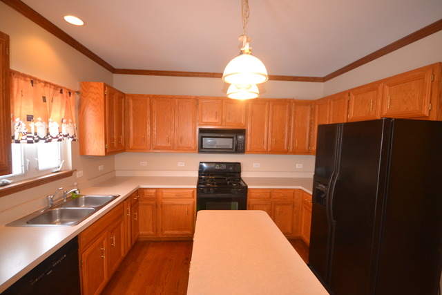 424 Blue Ridge Drive Oswego, IL 60543 - Photo 10 of 25