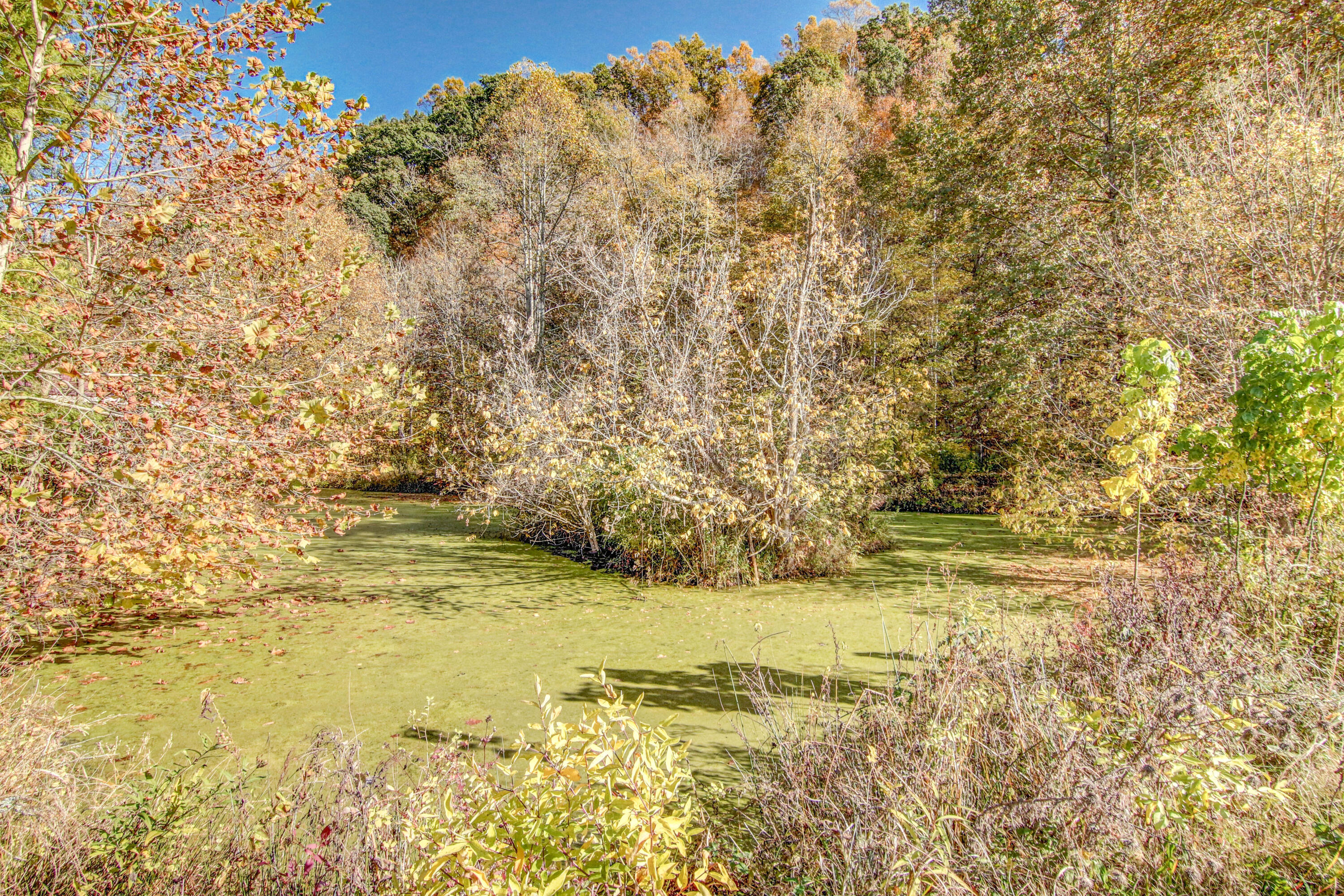 2987 Reservoir Road Kingsport, TN 37660 - Photo 132 of 137 LP1A8203_4_5_6_7