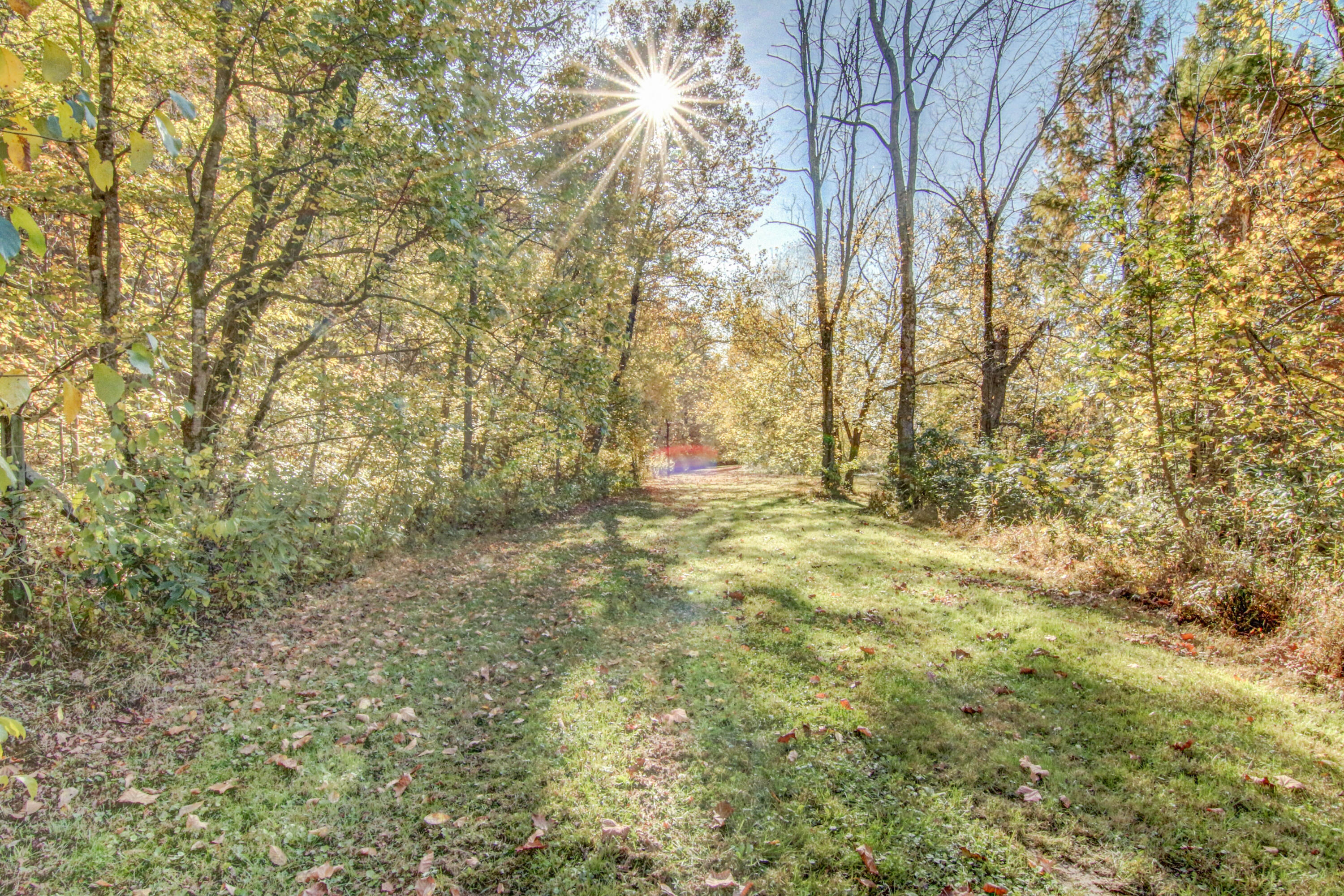 2987 Reservoir Road Kingsport, TN 37660 - Photo 134 of 137 LP1A8218_19_20_21_22
