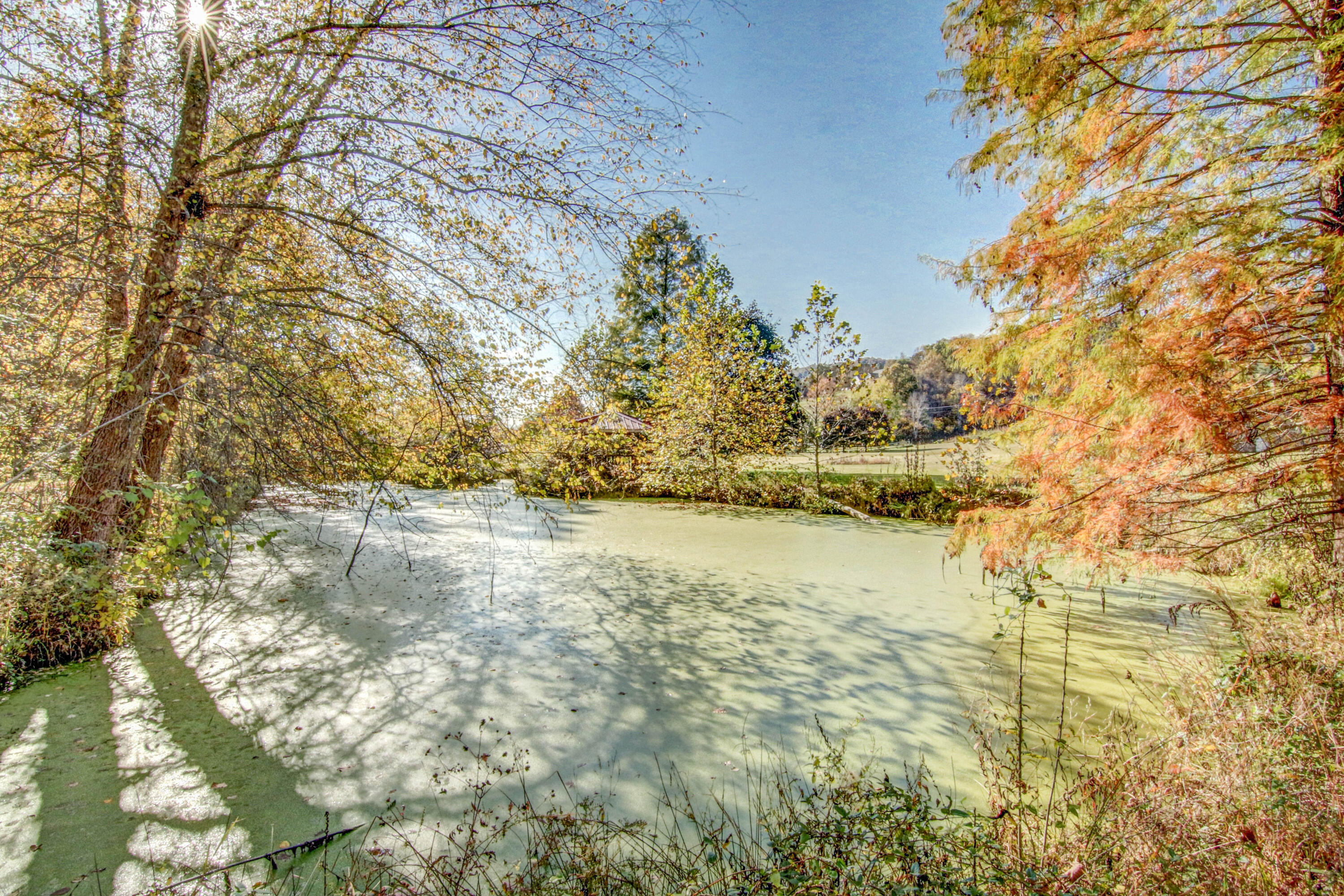 2987 Reservoir Road Kingsport, TN 37660 - Photo 136 of 137 LP1A8228_29_30_31_32