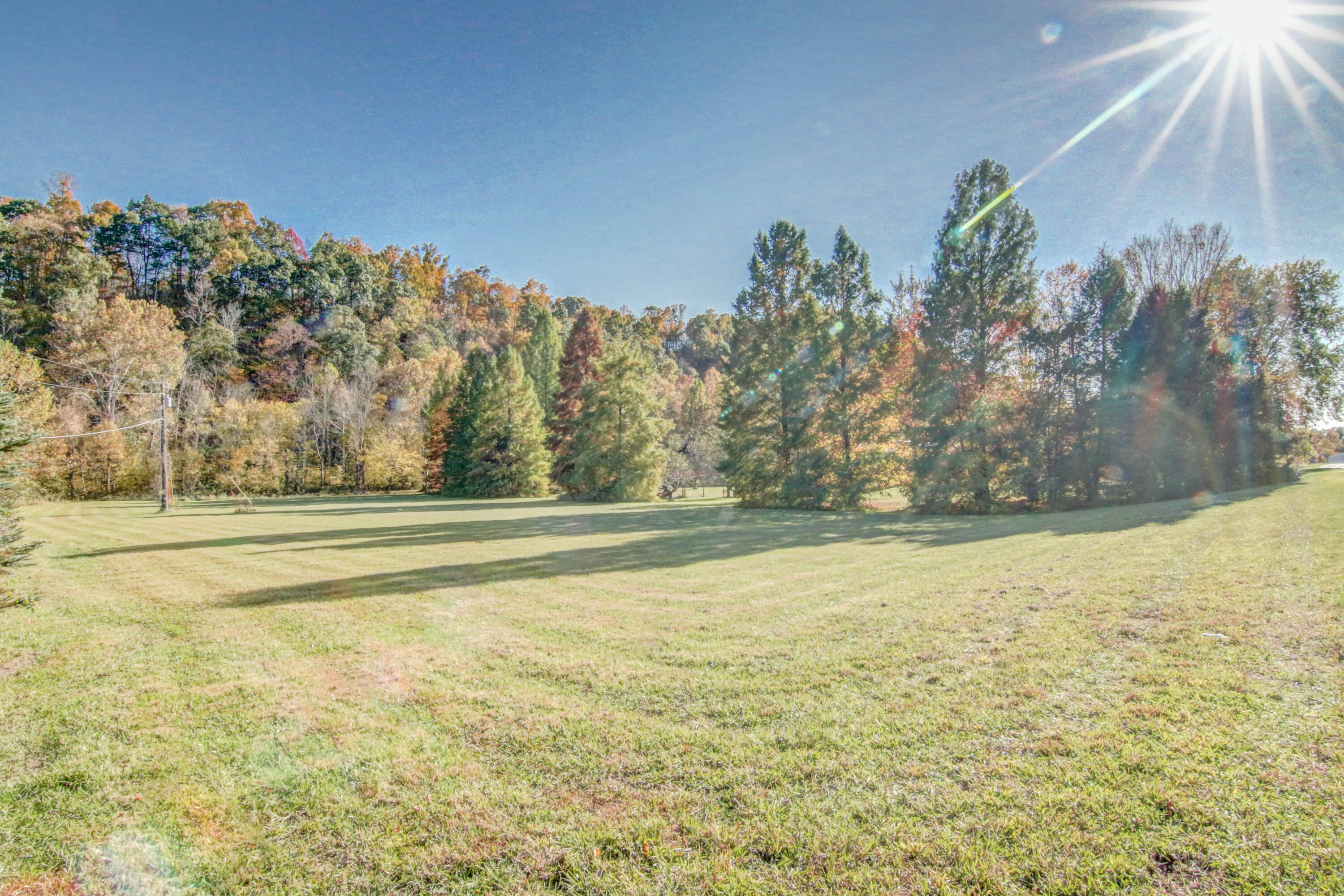 2987 Reservoir Road Kingsport, TN 37660 - Photo 137 of 137 LP1A8233_4_5_6_7