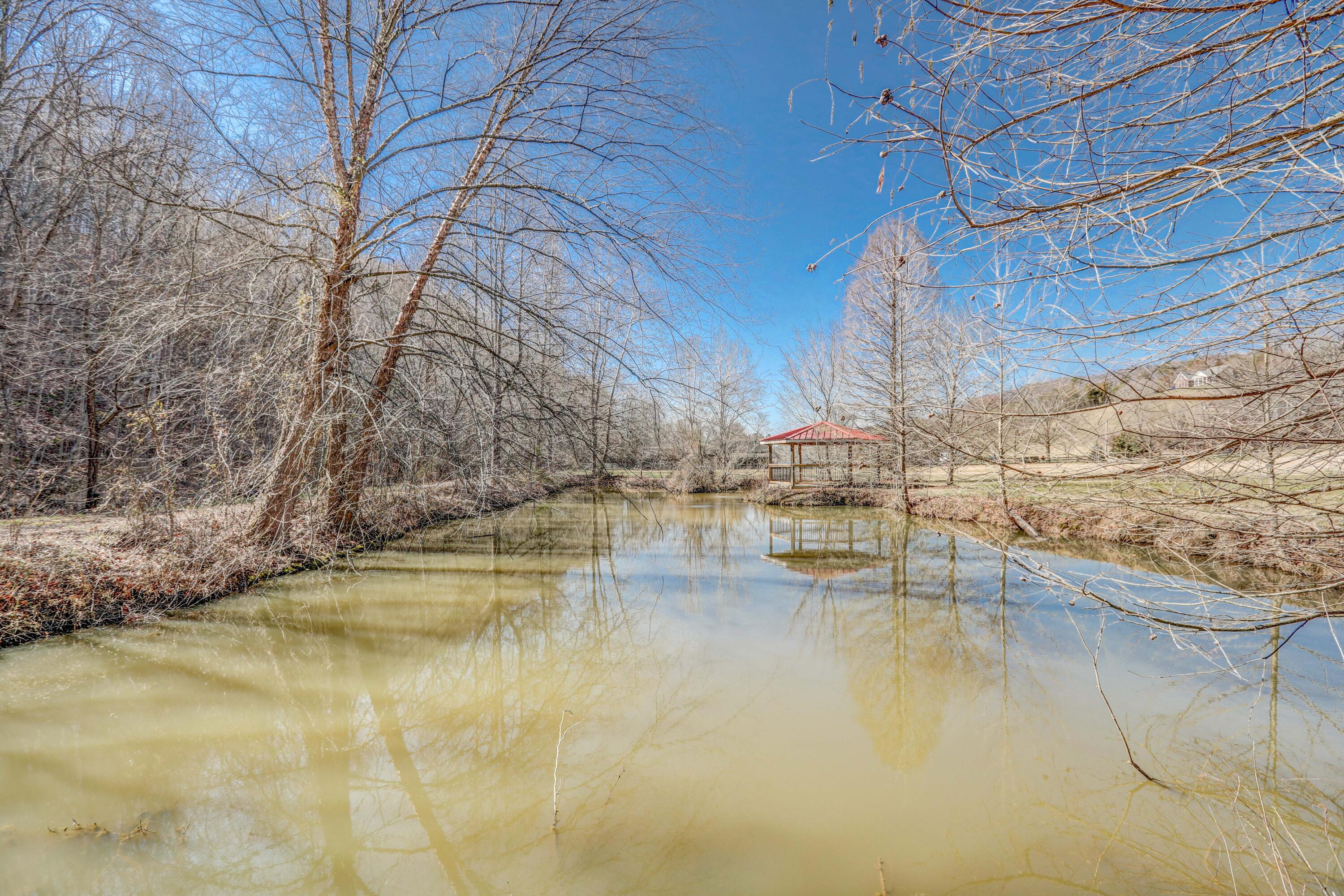 2987 Reservoir Road Kingsport, TN 37660 - Photo 85 of 137 B42A9448_49_50_51_52