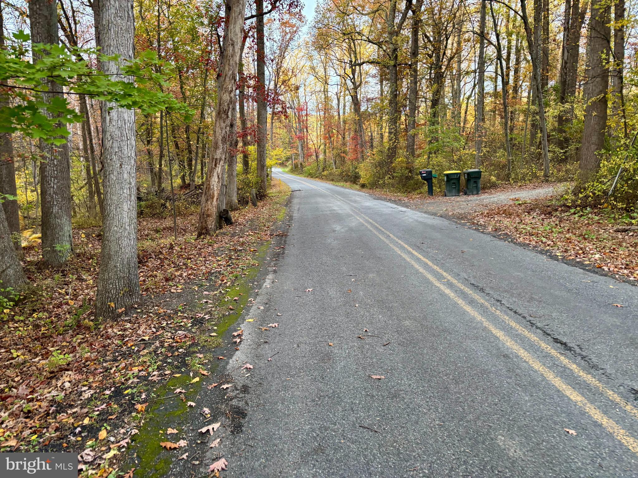 8568 Deer Road Slatington, PA 18080 - Photo 26 of 37 a view of a park with large trees