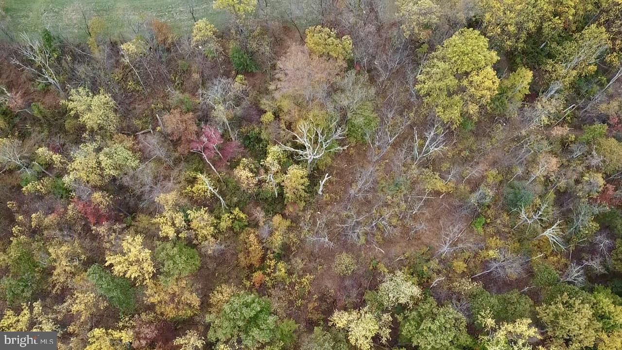 8568 Deer Road Slatington, PA 18080 - Photo 31 of 37 a backyard of a house with lots of green space