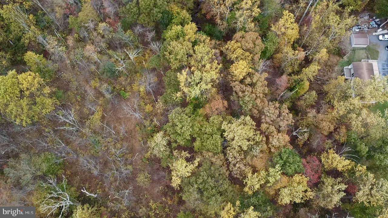 8568 Deer Road Slatington, PA 18080 - Photo 32 of 37 a view of a yard