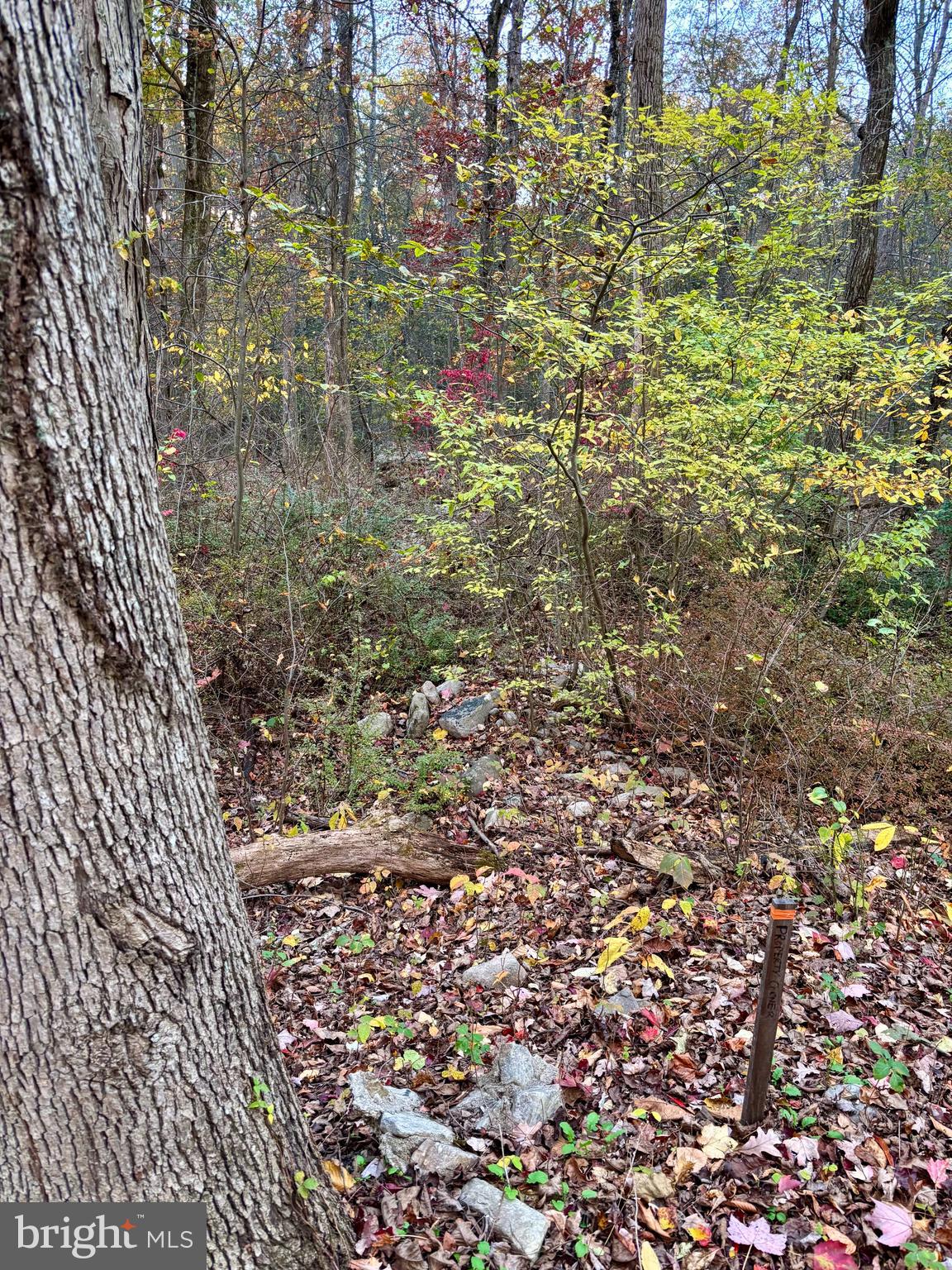 8568 Deer Road Slatington, PA 18080 - Photo 36 of 37 a view of a pathway of a building