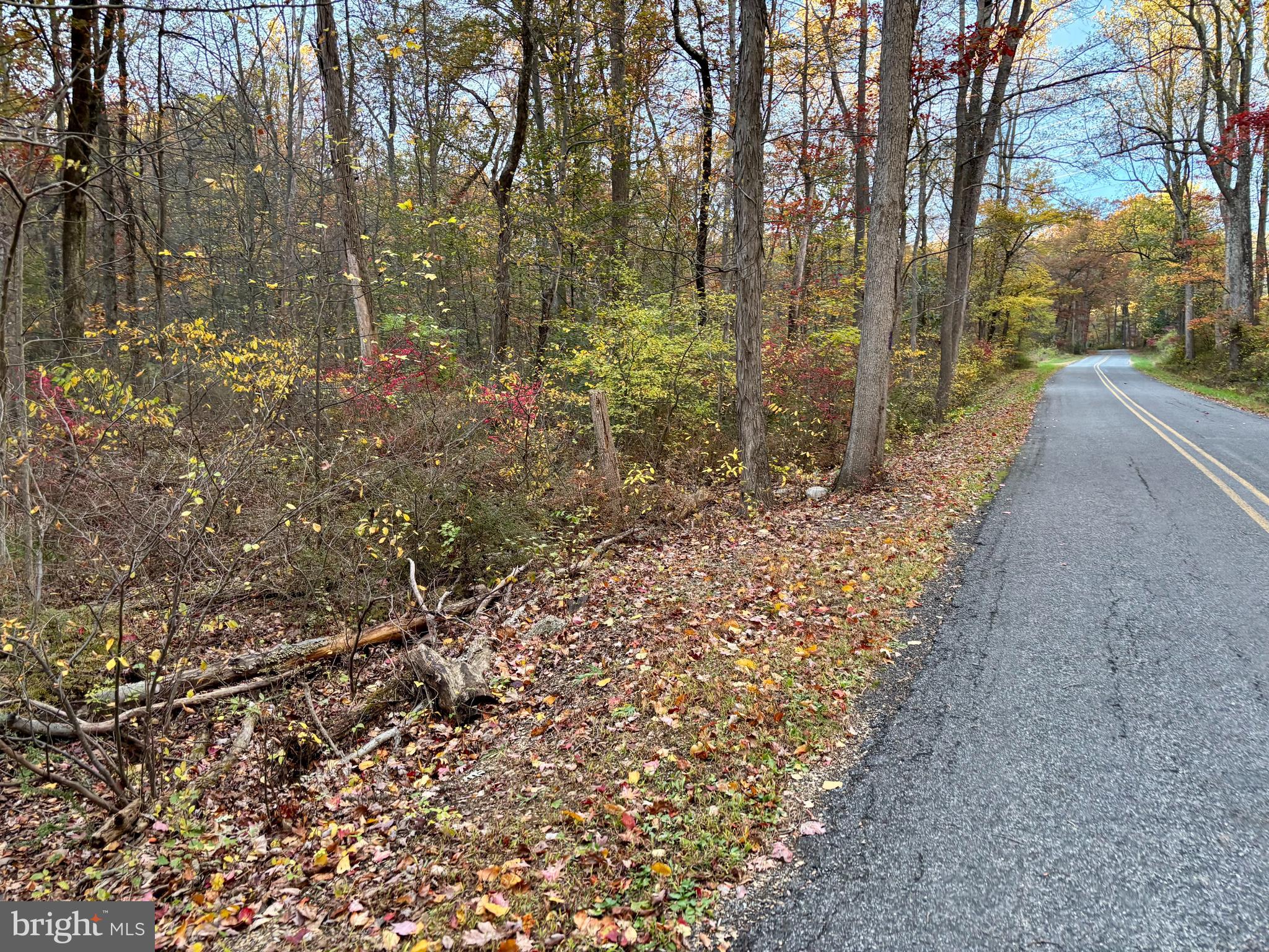 8568 Deer Road Slatington, PA 18080 - Photo 37 of 37 a view of a yard with trees