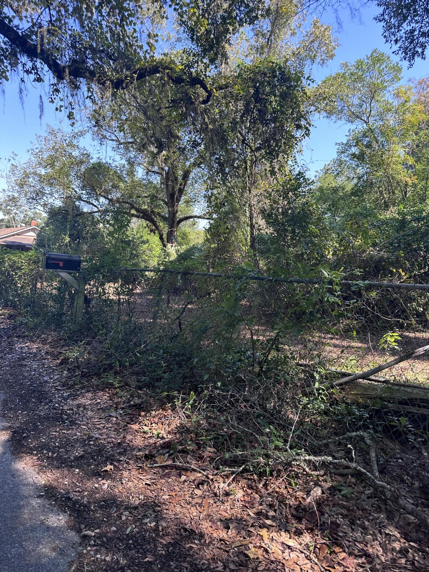 1815 Wadsworth Road Baker, FL 32531 - Photo 6 of 6 a view of a yard with a tree