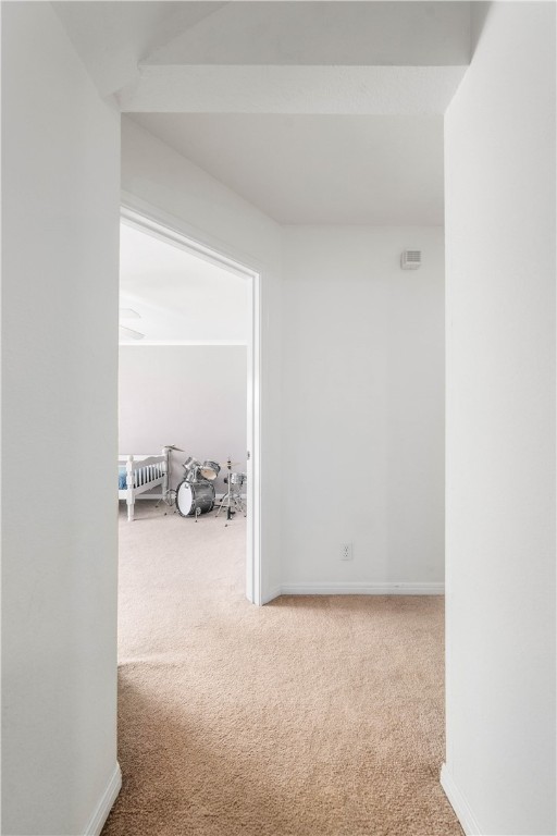 3313 Fox Hollow Circle Waco, TX 76708 - Photo 54 of 88