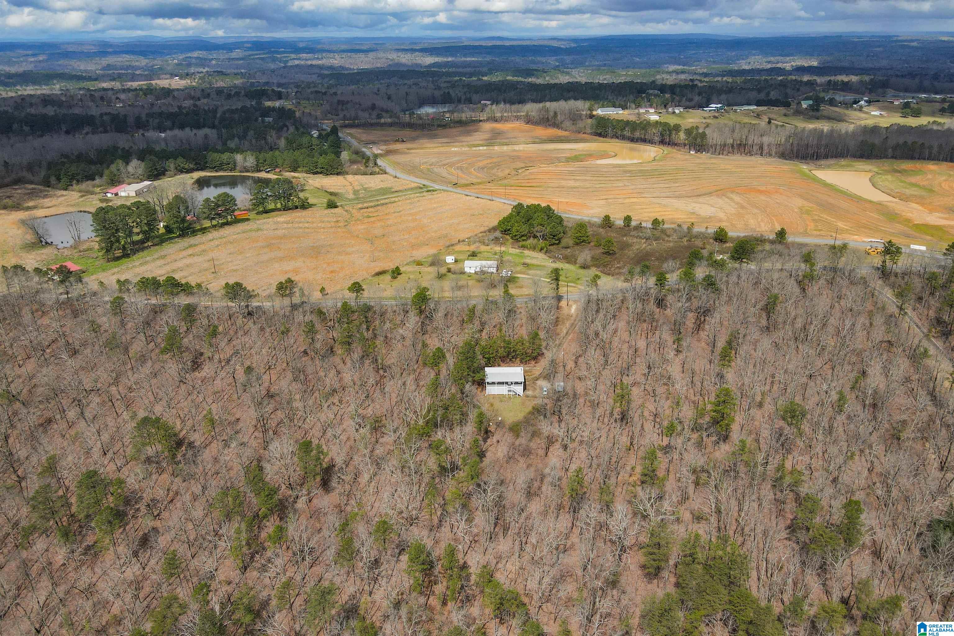 4076 Co Highway 24 Springville, AL 35146 - Photo 7 of 50
