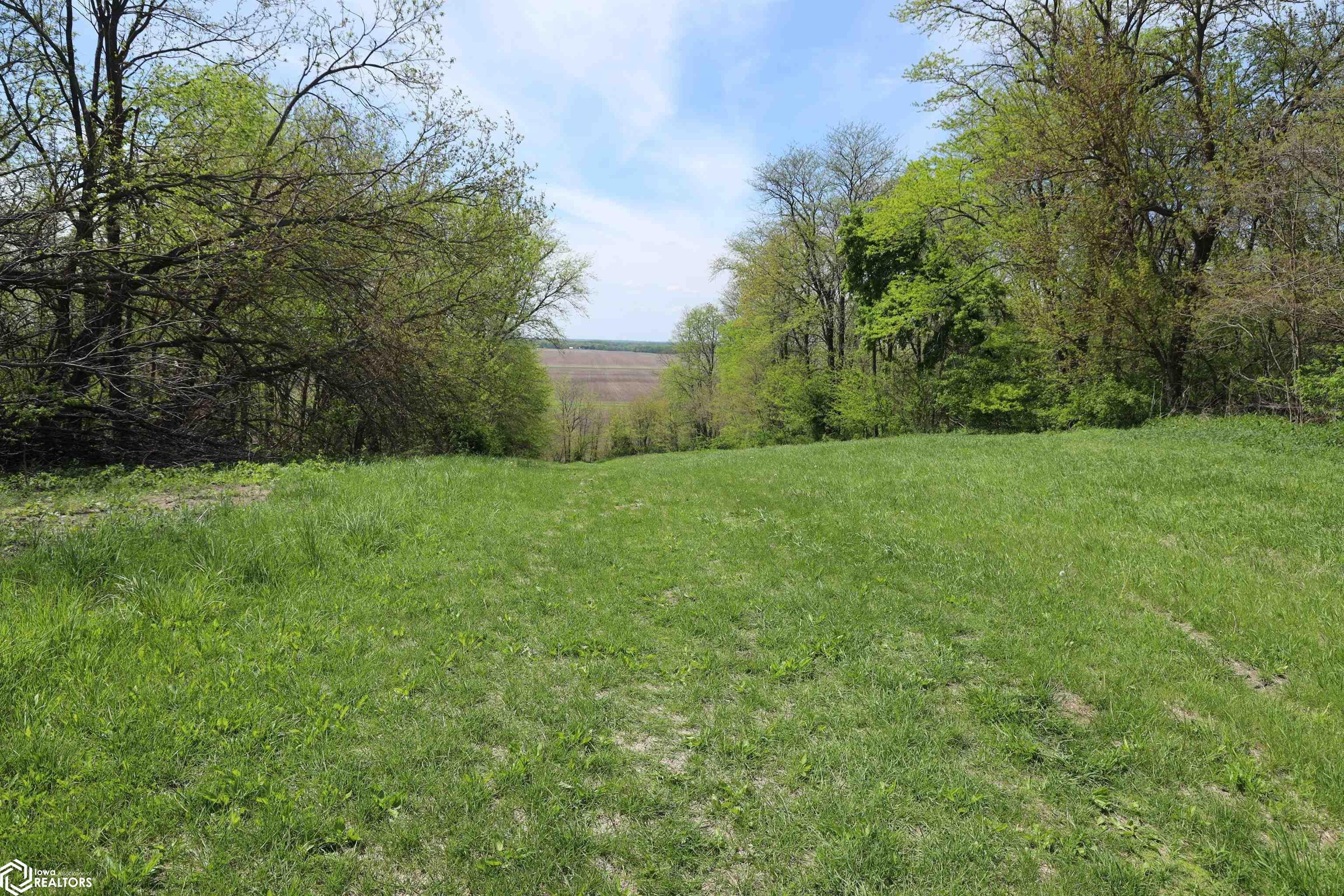 Bluff Road Joy, IL 61260 - Photo 4 of 27 Gallery Image 4