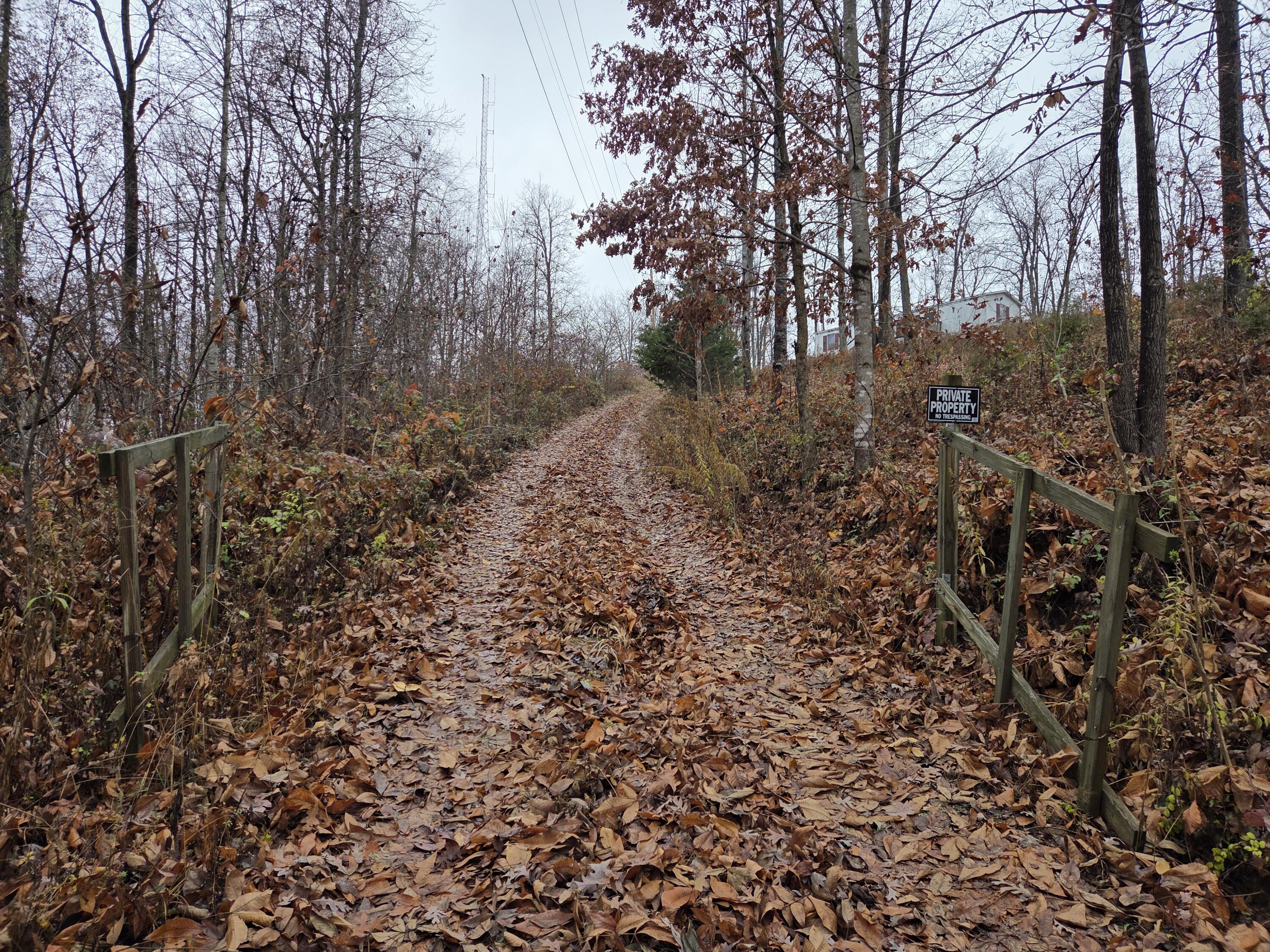63 Cove Branch Road Orlando, KY 40460 - Photo 15 of 38 Driveway