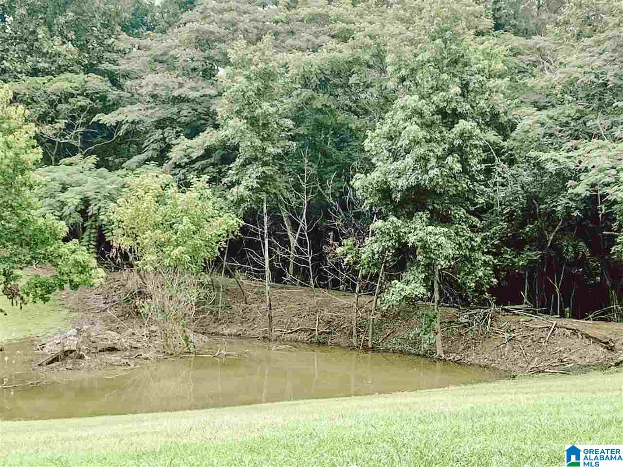 4000 County Road 20 Oneonta, AL 35121 - Photo 4 of 48