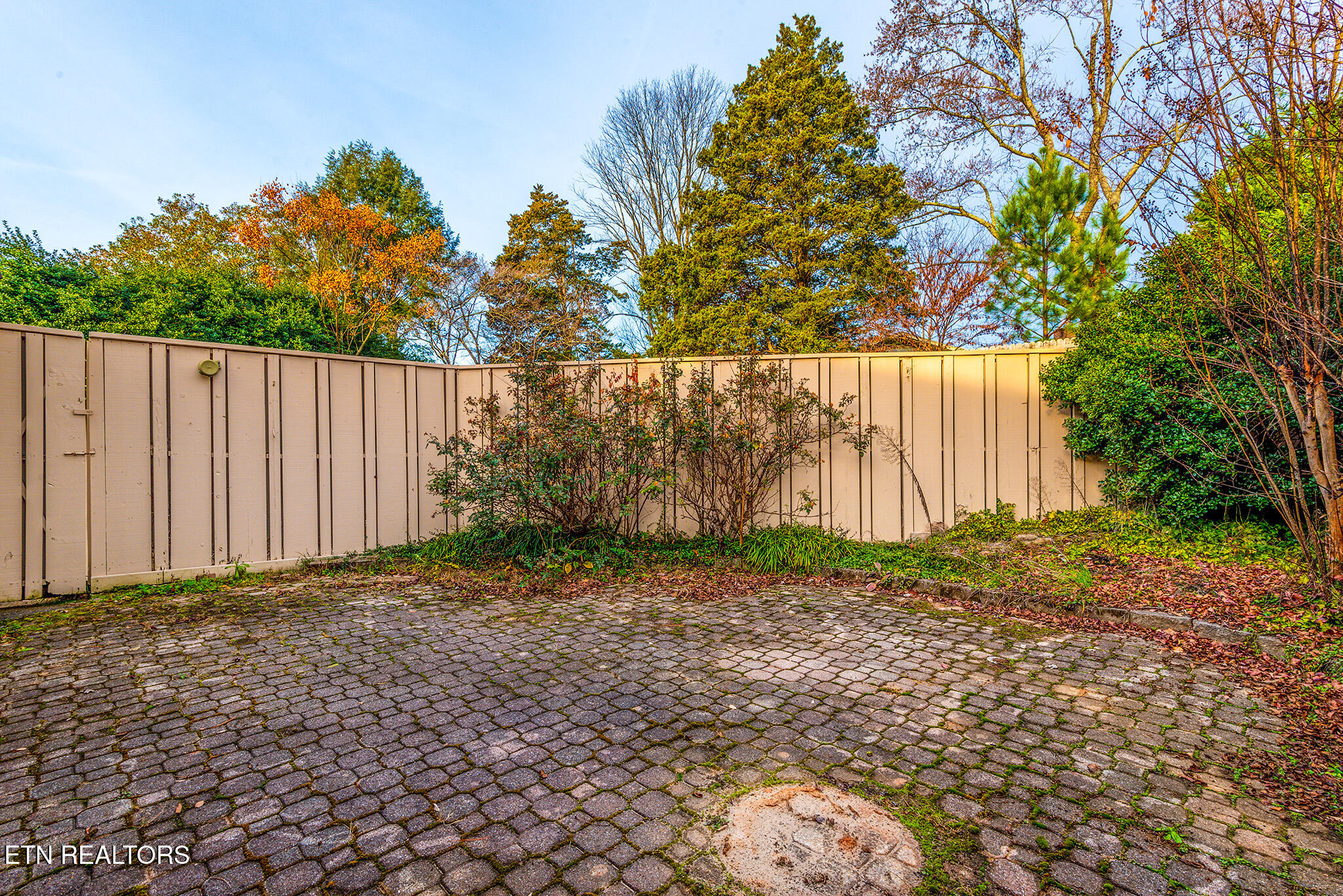 337 Suburban Road Knoxville, TN 37923 - Photo 24 of 25 337_Suburban_124