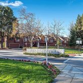 a view of a park with large trees