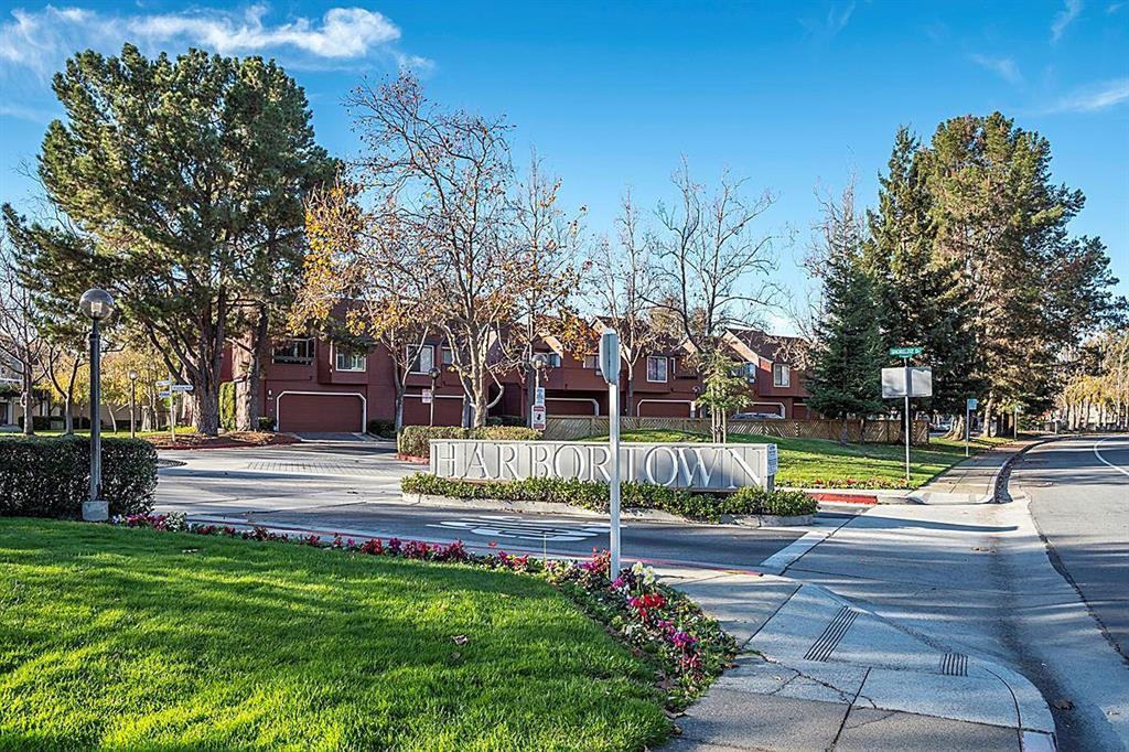 a view of a park with large trees