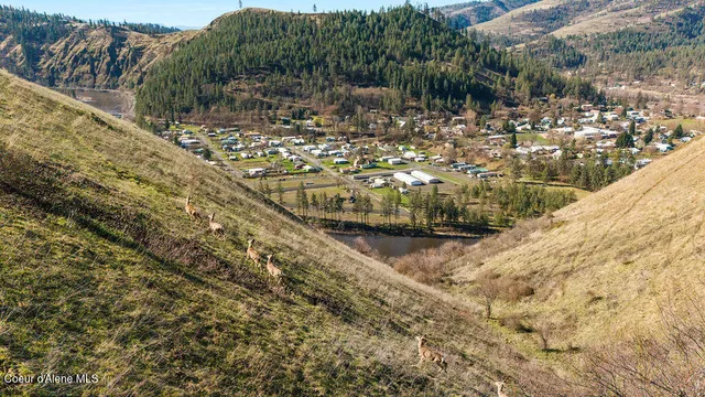 $55,000 | 705 Nelson Avenue, Kooskia, ID 83539