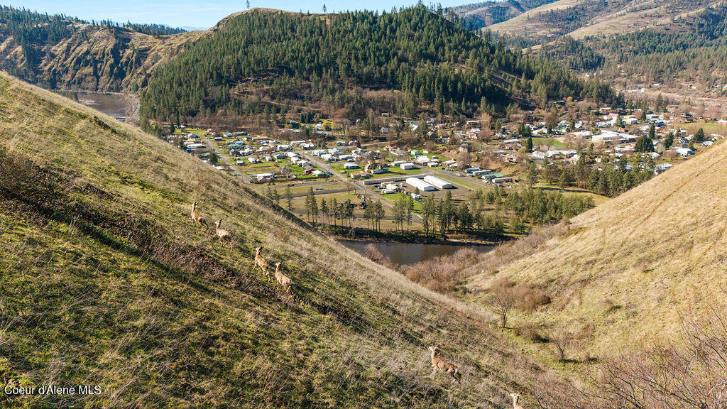 705 Nelson Avenue Kooskia, ID 83539 - Photo 16 of 29 DJI_20250325100140_0004_D_KAMIAH