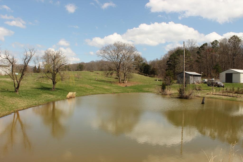 1800 Repass Road New Market, TN 37820 - Photo 31 of 39 large view of pond (1024x683).jpg