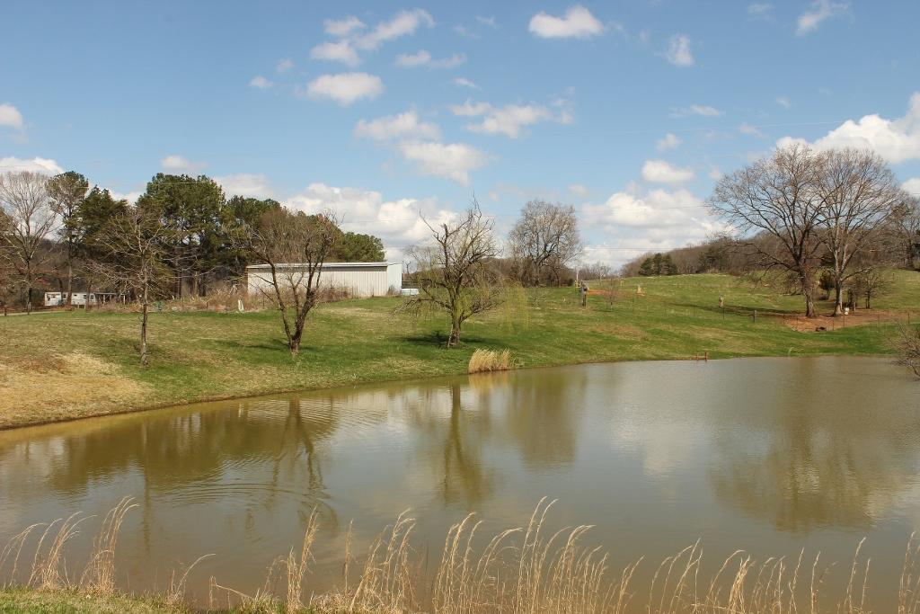 1800 Repass Road New Market, TN 37820 - Photo 33 of 39 pond from left side (1024x683).jpg