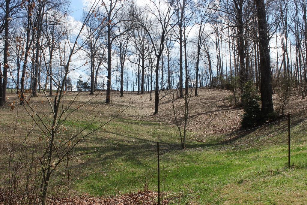 1800 Repass Road New Market, TN 37820 - Photo 34 of 39 rear of property (1024x683).jpg