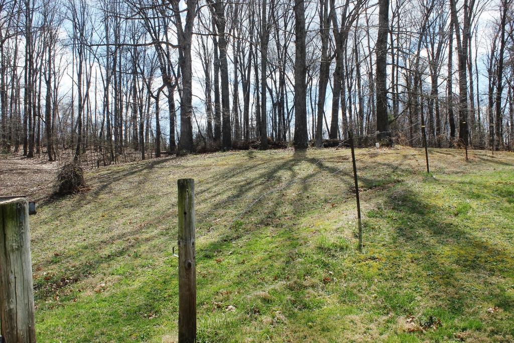 1800 Repass Road New Market, TN 37820 - Photo 35 of 39 rear of property 2 (1024x683).jpg