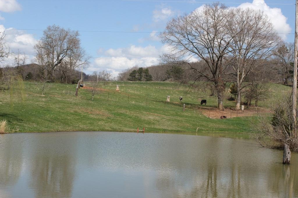1800 Repass Road New Market, TN 37820 - Photo 36 of 39 scenery (1024x683).jpg
