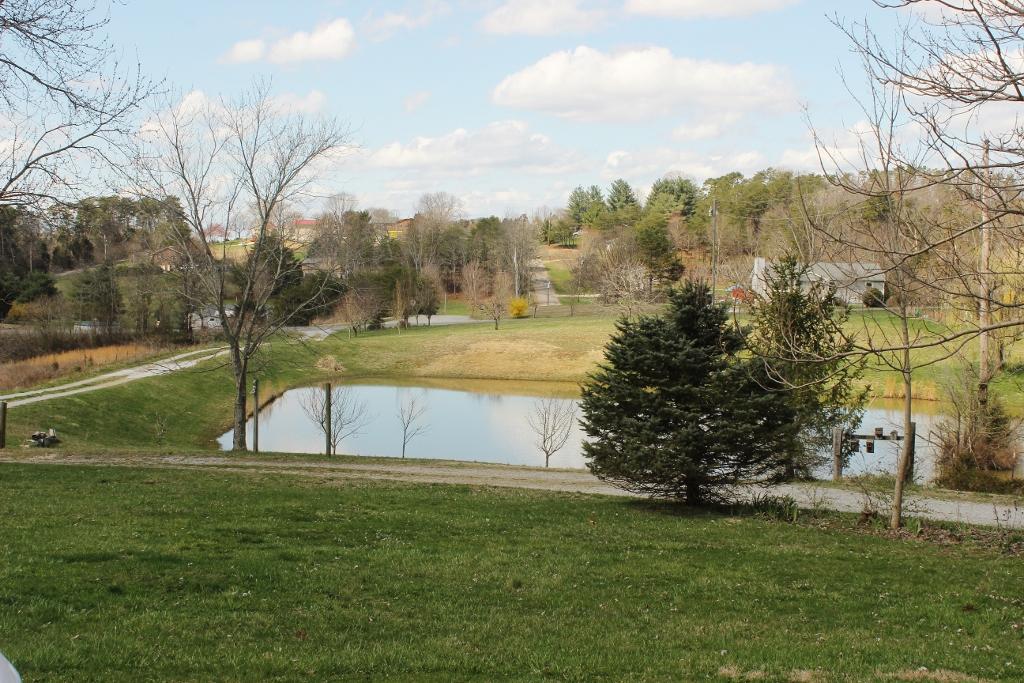 1800 Repass Road New Market, TN 37820 - Photo 38 of 39 view of pond from front (1024x683).jpg
