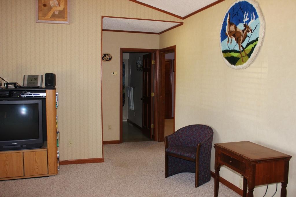 1800 Repass Road New Market, TN 37820 - Photo 5 of 39 left side of LR (1024x683).jpg