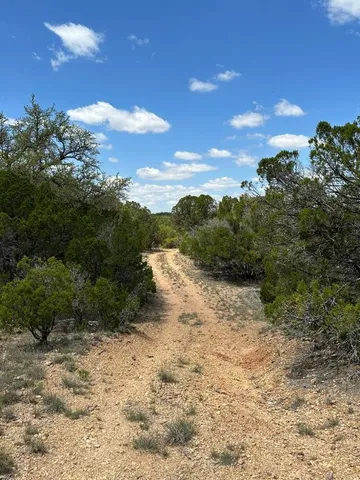 a view of a yard with trees in the background