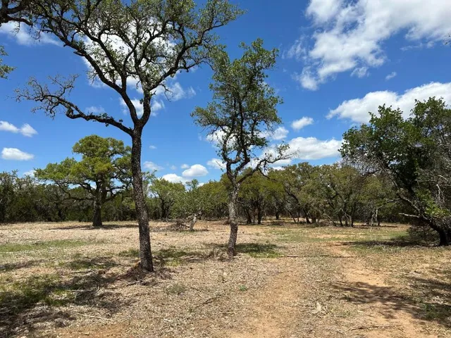 a view of road covered with snow