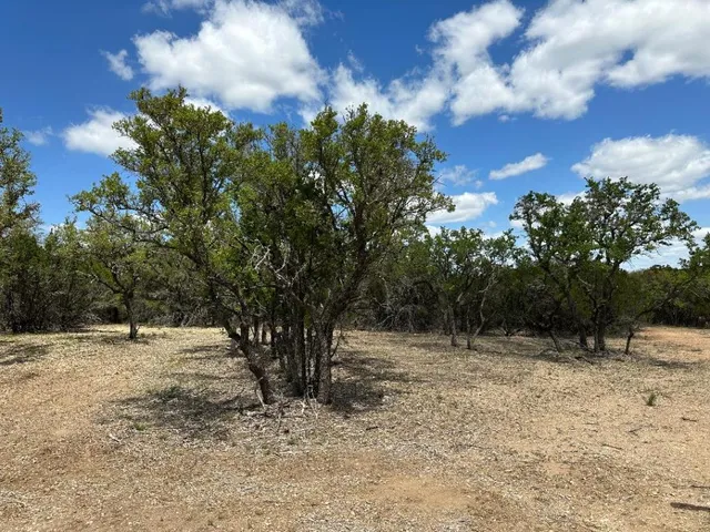 a view of outdoor space with trees in the background