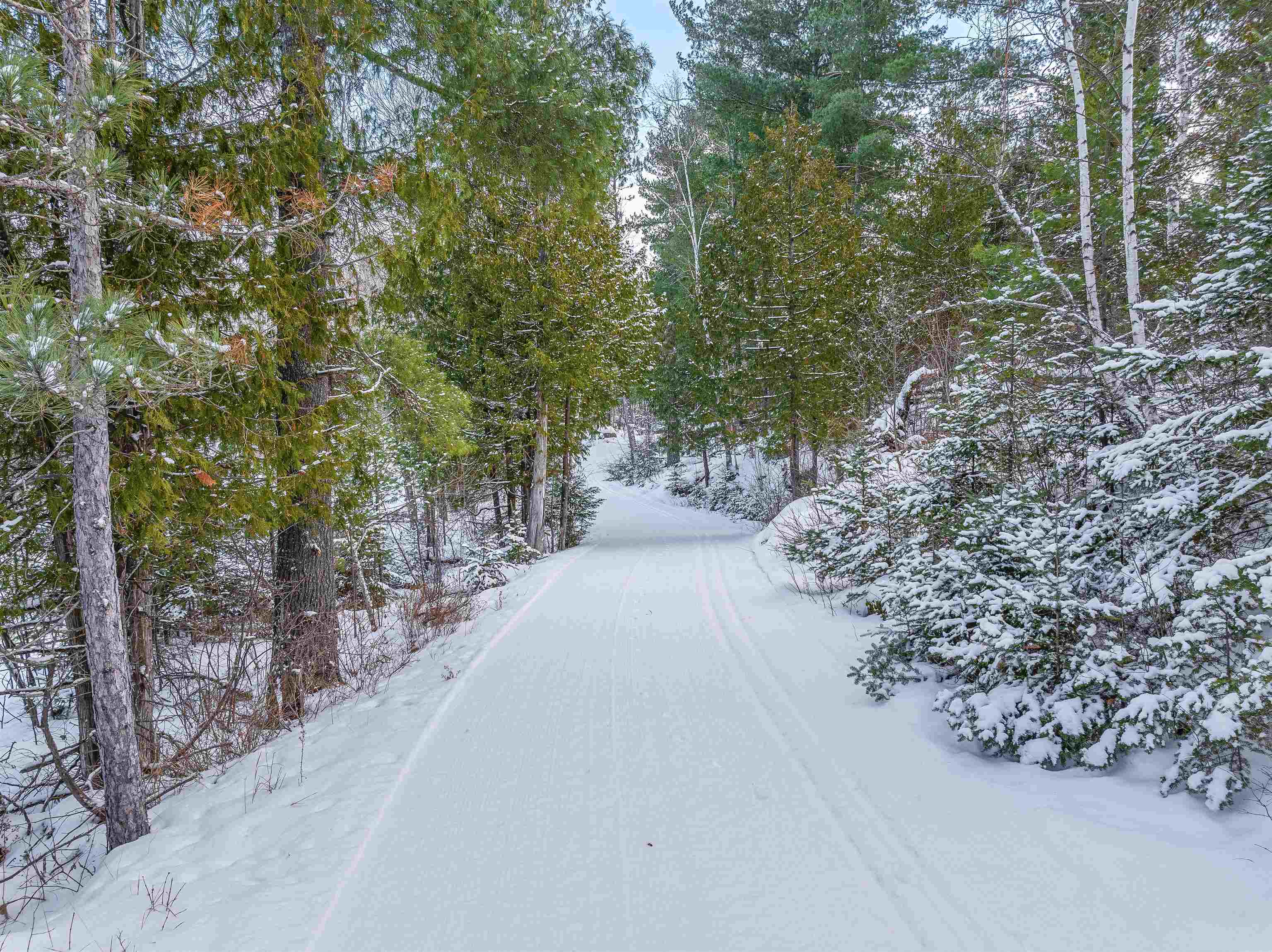 Tbd Trezona Road Ely, MN 55731 - Photo 8 of 12 View of asphalt road