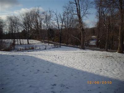 305 Brushy Run Road Versailles, KY 40383 - Photo 31 of 32 Photo 31