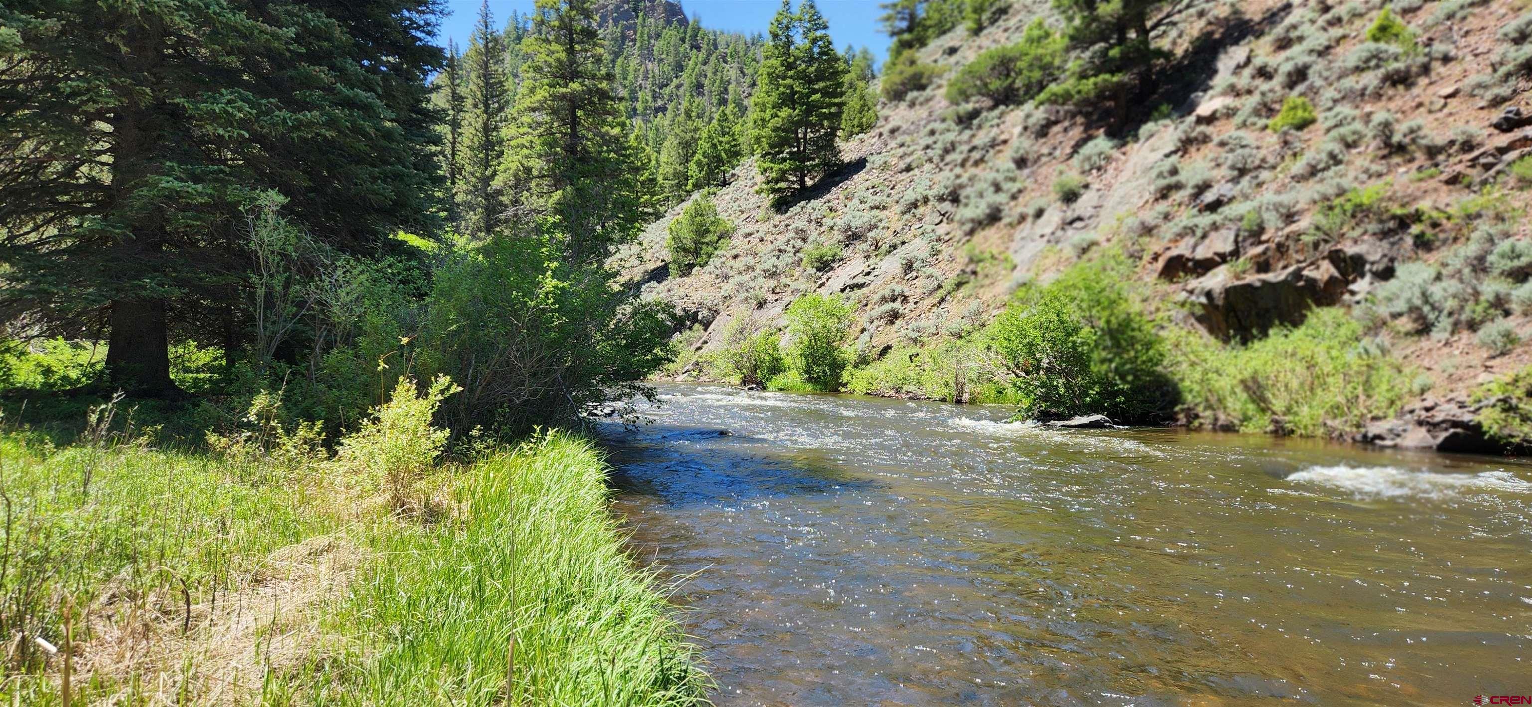 510 Cebolla River Road Powderhorn, CO 81243 - Photo 29 of 45 Gallery Image 29