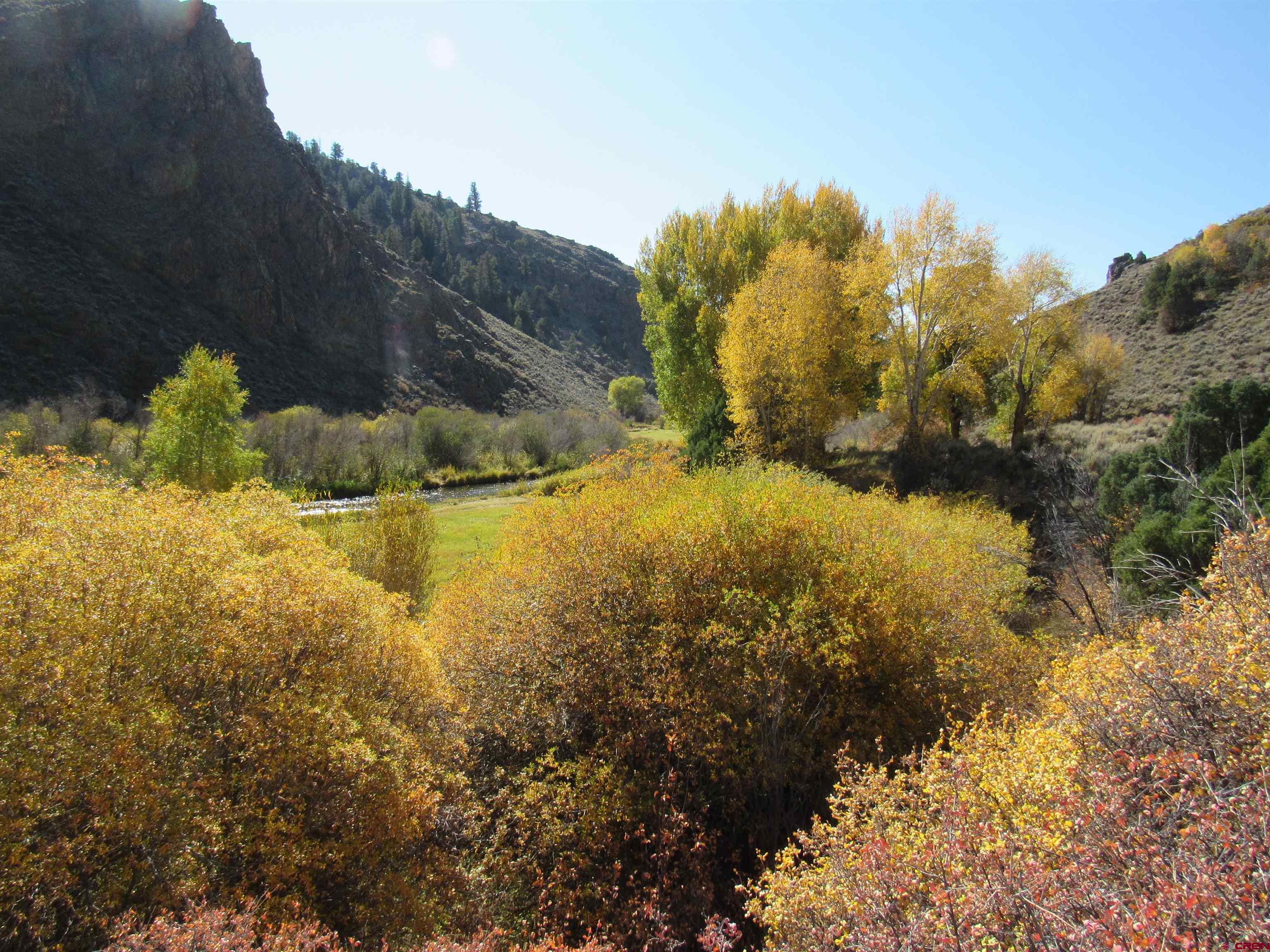 510 Cebolla River Road Powderhorn, CO 81243 - Photo 32 of 45 Gallery Image 32