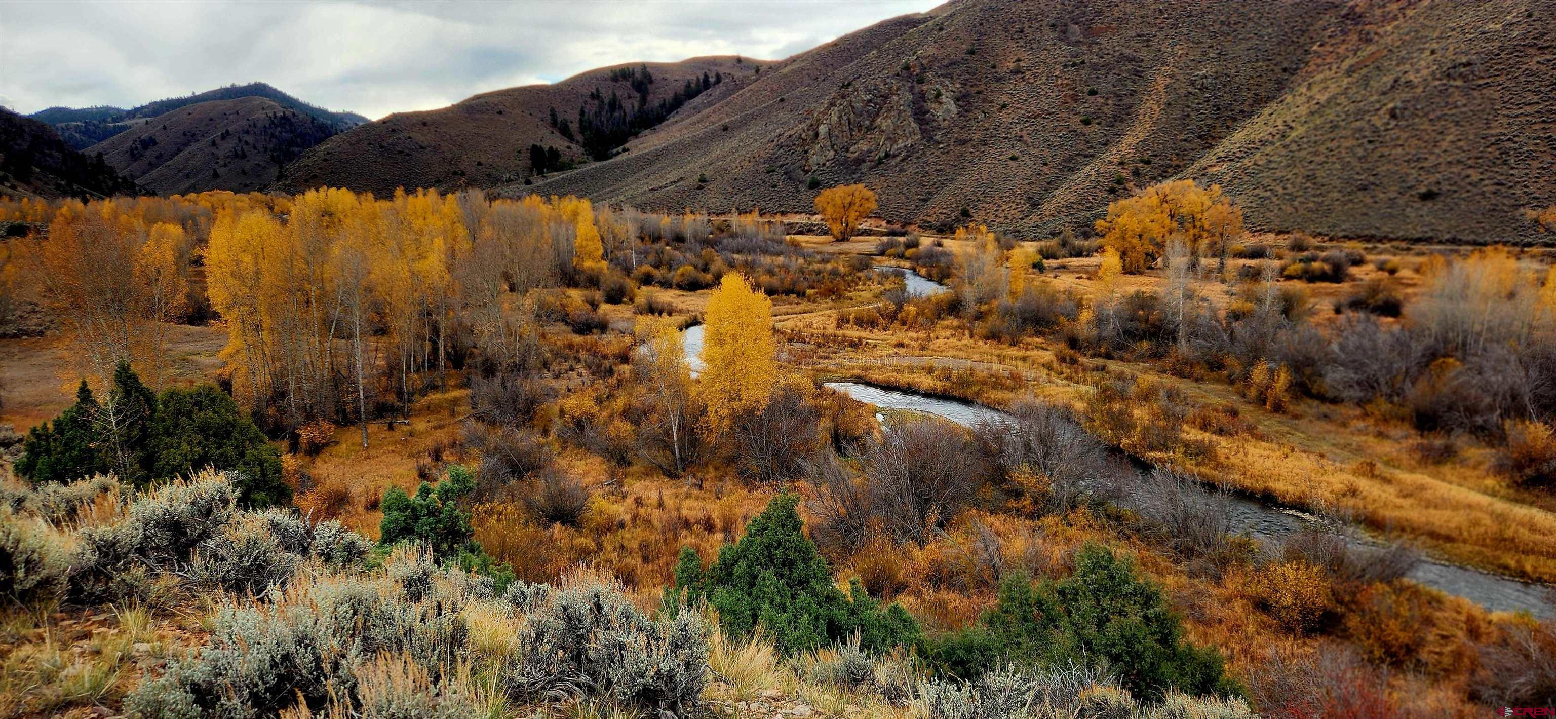 510 Cebolla River Road Powderhorn, CO 81243 - Photo 41 of 45 Gallery Image 41