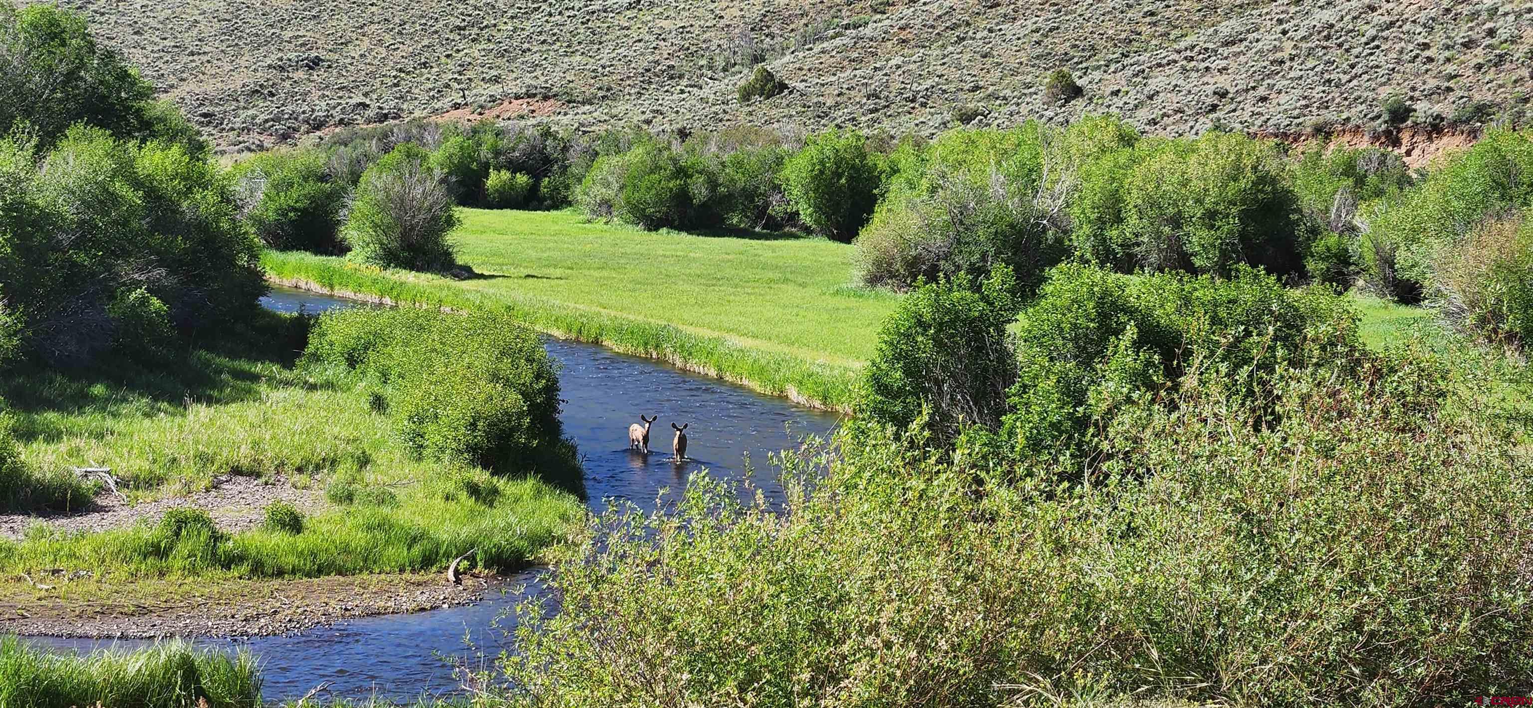 510 Cebolla River Road Powderhorn, CO 81243 - Photo 44 of 45 Gallery Image 44
