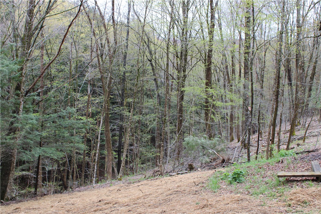 181 Cronin Road Schenevus, NY 12155 - Photo 22 of 26