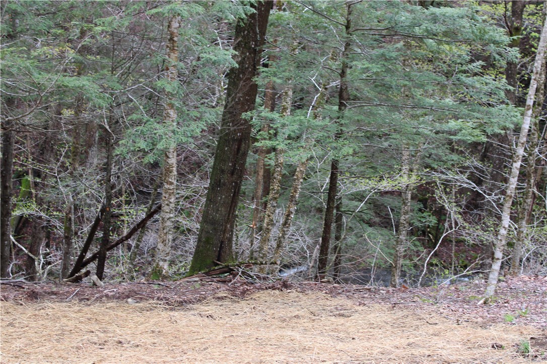 181 Cronin Road Schenevus, NY 12155 - Photo 23 of 26