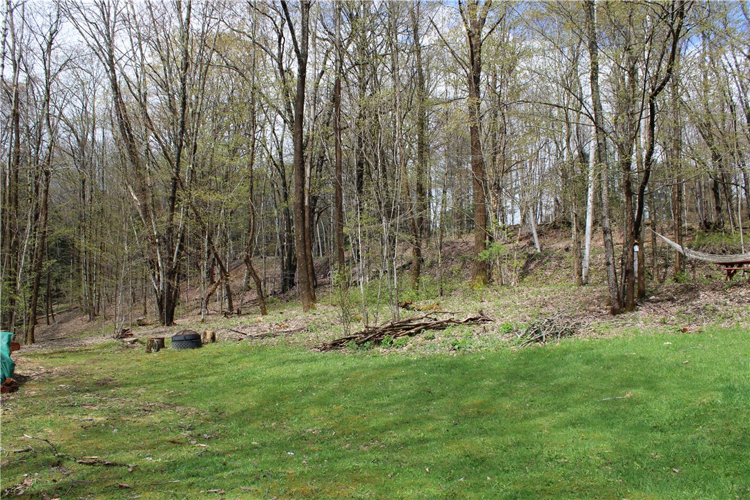 181 Cronin Road Schenevus, NY 12155 - Photo 24 of 26