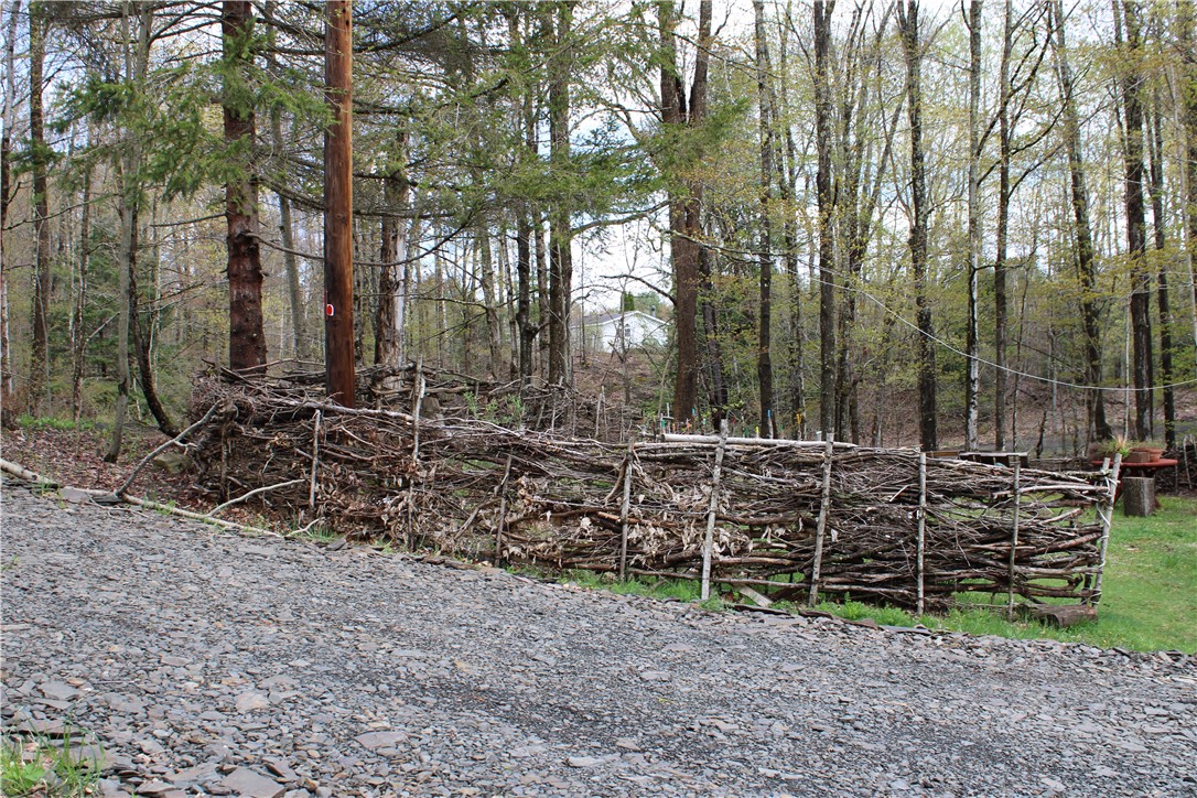 181 Cronin Road Schenevus, NY 12155 - Photo 25 of 26