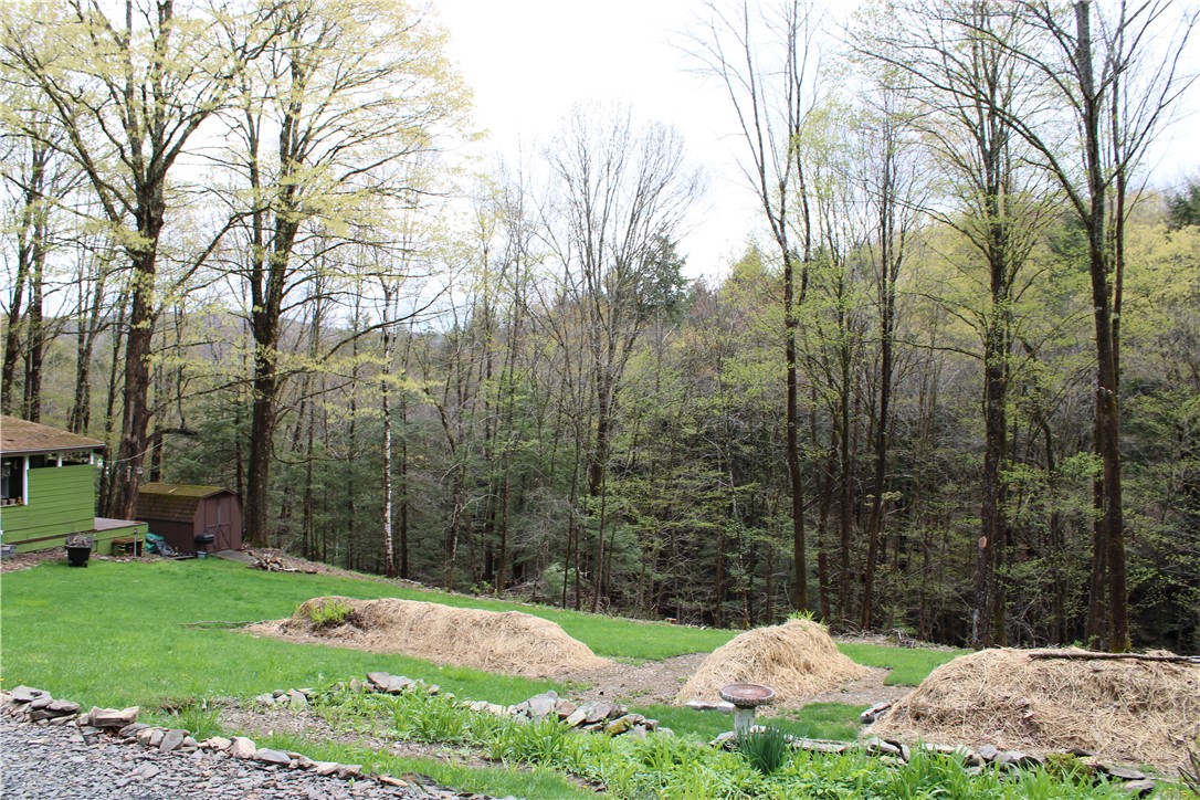 181 Cronin Road Schenevus, NY 12155 - Photo 26 of 26