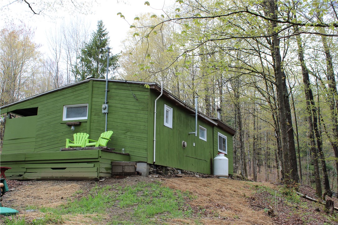 181 Cronin Road Schenevus, NY 12155 - Photo 3 of 26