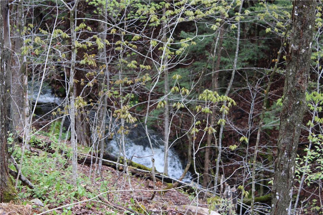 181 Cronin Road Schenevus, NY 12155 - Photo 6 of 26