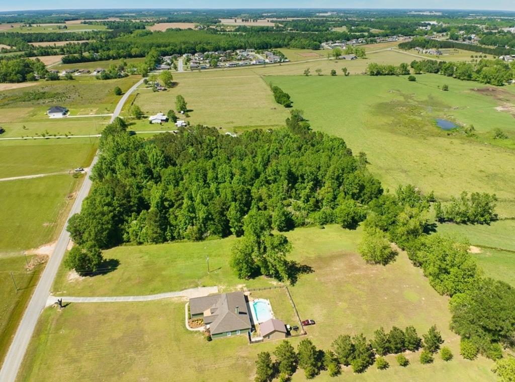 204691 Suggs Road Headland, AL 36345 - Photo 12 of 14